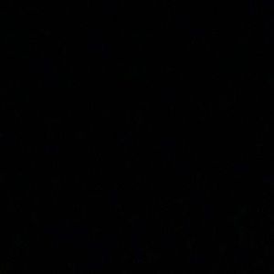 Meet your Posher, Charlie